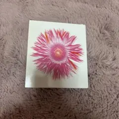 SPEED MOMENT THE BEST ALBUM