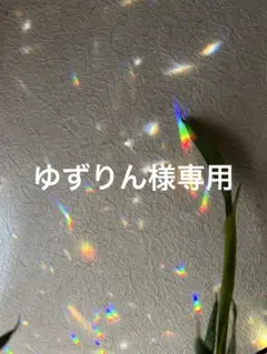 ゆずりん様 リクエスト 2点 まとめ商品