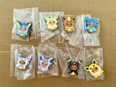 【新品】 イーブイ 進化 ピンズ　8点