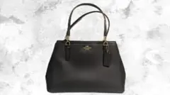 【最終値下げ】 COACH レディース ハンドバッグ ショルダーバッグ 2way