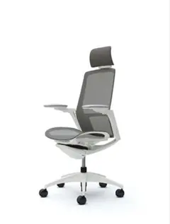 オカムラ Finora(フィノラ) C78CWW 24万円分