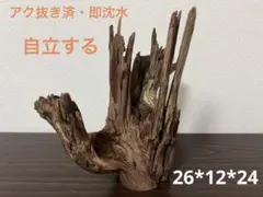 2026年最新】マシンガンウッドの人気アイテム - メルカリ