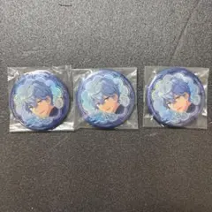 あんさんぶるスターズ! カプセル缶バッジ カプ缶 瀬名泉