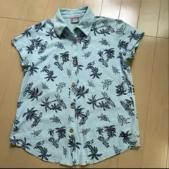 OP GIRLS オーシャンパシフィック 半袖 ポロシャツ ブルー 椰子の木南国のサムネイル