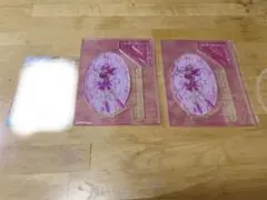 セーラーちびムーン アクスタ