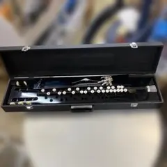 Item thumbnail for item 12818eec-feeb-438b-b0cd-b737e6b0e798