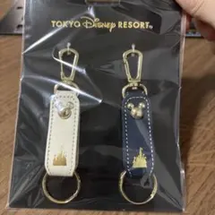 TOKYO DISNEY RESORT キーチェーン2個　キーホルダーセット