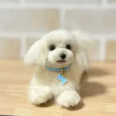 2026年最新】マルチーズぬいぐるみの人気アイテム - メルカリ