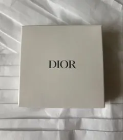 DIOR 刺繍ロゴ ノベルティ ミラー