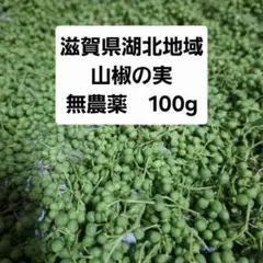 2026年最新】花山椒の人気アイテム - メルカリ