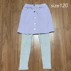 プティマイン スカッツ 120