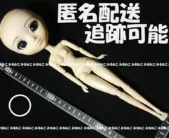 Item thumbnail for item e3ca40cf-eeb0-4998-8a3d-3b2c42ab33f8