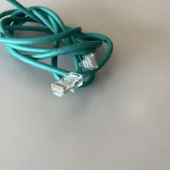 2026.3.24 カテゴリ5e LANケーブル グリーン