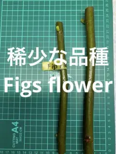 BDライフ様 リクエスト 3点 まとめ商品