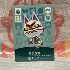 shampoo226様 リクエスト 2点 まとめ商品