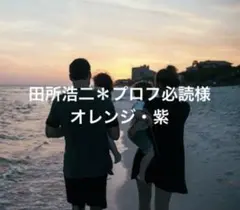 2個 switch スイッチ ジョイコン スティックカバー 紫 スイッチライト