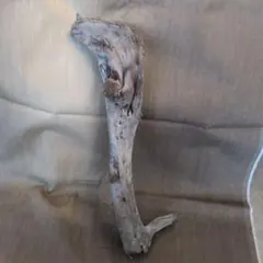 Item thumbnail for item 6f0eccd4-8c0f-4fe4-bacf-94ebc7736b31