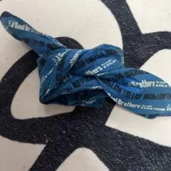 青色三代目バンド