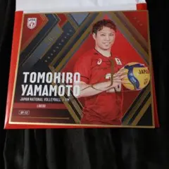 2026年最新】山本智大 サインの人気アイテム - メルカリ