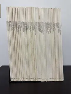 ファブリ　世界名画集　98冊セット ファブリ 世界名画集 98冊セット