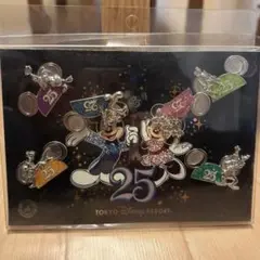 東京ディズニーリゾート 25周年記念ピンバッジセット