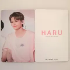 SEVENTEEN HARU ジュン トレカ セブチ ハルコン