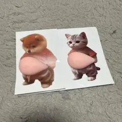 Item thumbnail for item 2dfc3bc5-c100-4dd3-a20b-f55fa41b687c