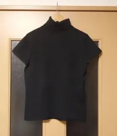 Theory半袖タートルネックニット