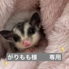 【がりもも様　専用】フクロモモンガ　焼きそばパン　ポーチ