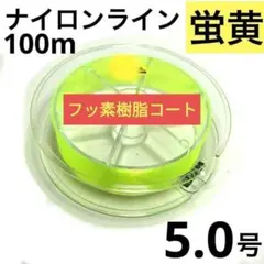 Item thumbnail for item 47f9d336-3d3f-43cf-a615-9227138c3554