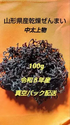 新物 徳島産 肉厚乾燥ぜんまい 超極太 極上物 100g 山菜 乾燥ゼンマイ