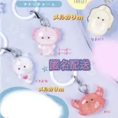 今週のみ♡つぶらな瞳の仲間達 mineチャーム めじるし ガチャガチャ コピペ×のサムネイル