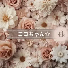 ココちゃん☆様専用⋈ *。 （お取り置き3/24〜）