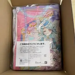 た*か様 名探偵プリキュア キャラねる袋 非売品 - メルカリ