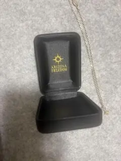 【ARIZONA FREEDOM】K18チャーム × silver ネックレス