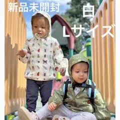 インセクトコレクション ジャケット