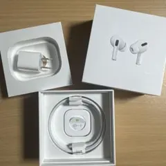 AirPods Pro 充電器 ケーブル イヤーチップ 付属品のみ Apple