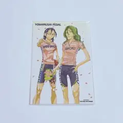 弱虫ペダル　巻島　東堂　特典　ポストカード