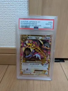 PSA10 Mガルーラex ur XY2 ワイルドブレイズ 090/080 - メルカリ