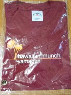 Item thumbnail for item 94030ae8-2a99-4e95-a3f3-7d1ec31ddba3