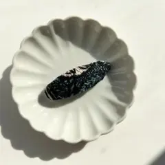 Item thumbnail for item 0062722d-6a80-416c-8c3e-484b4963f700