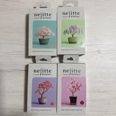 ネジッテ　nejitte 桜　藤　紅葉　梅　未開封