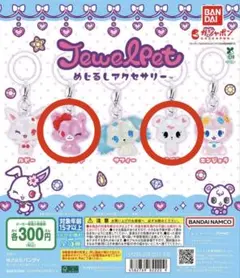 ジュエルペットめじるしアクセサリー　 ガーネット&ラブラ セット