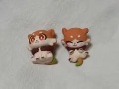 スタレ キメラ モーディス