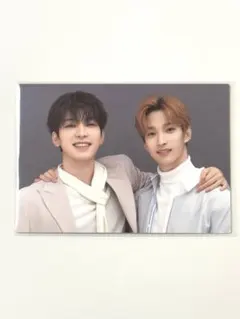 SEVENTEEN ウォヌ ドギョム HARE ペア トレカ たる*一覧 on X: 