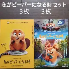 映画　私がビーバーになる時セット　チラシ　フライヤー