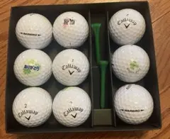 Item thumbnail for item b9713b81-9c76-4abe-a339-f8b9500b45e7