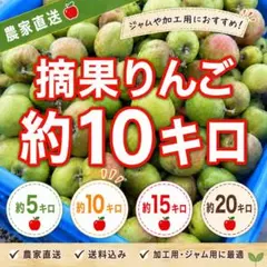 【農家直送】青森県産 摘花りんご 約10kg 加工用 Aomori Applesのサムネイル