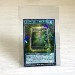 遊戯王　最強ジャンプ2026年1月号付録カード