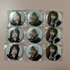 FRUITS ZIPPER 松本かれん 生誕ラッフル 缶バッチ　9点セット